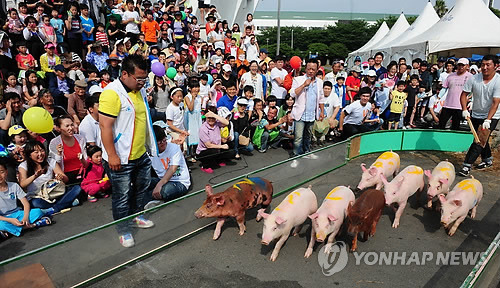 콘서트 무료나눔? 어떤지 다들 알잖아 | 인스티즈