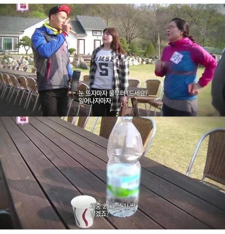 다이어트에 물이 중요한 이유 | 인스티즈