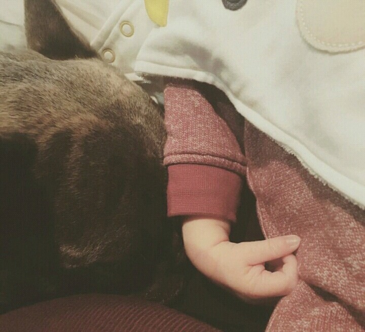 스킨스 배우들 근황 (시즌1~4) | 인스티즈