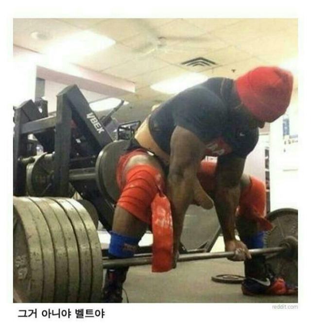 19금 사진이 아니지만 19금 사진같이 보이는 것들 | 인스티즈