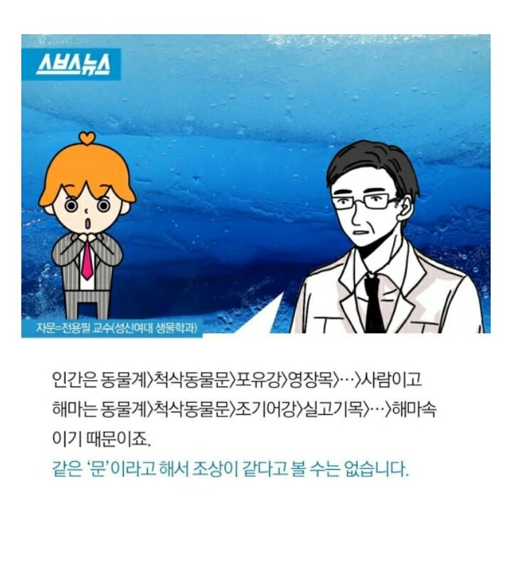 새우와 바퀴벌레의 조상은 같다의 진실 | 인스티즈