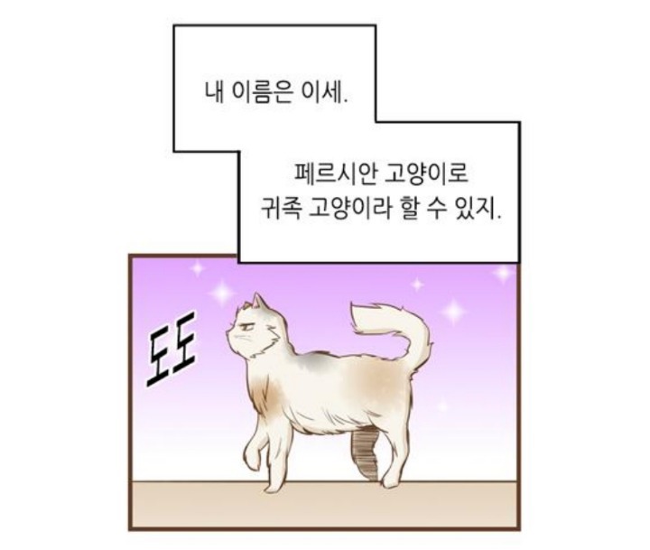 늙은 고양이 버리는 만화 | 인스티즈