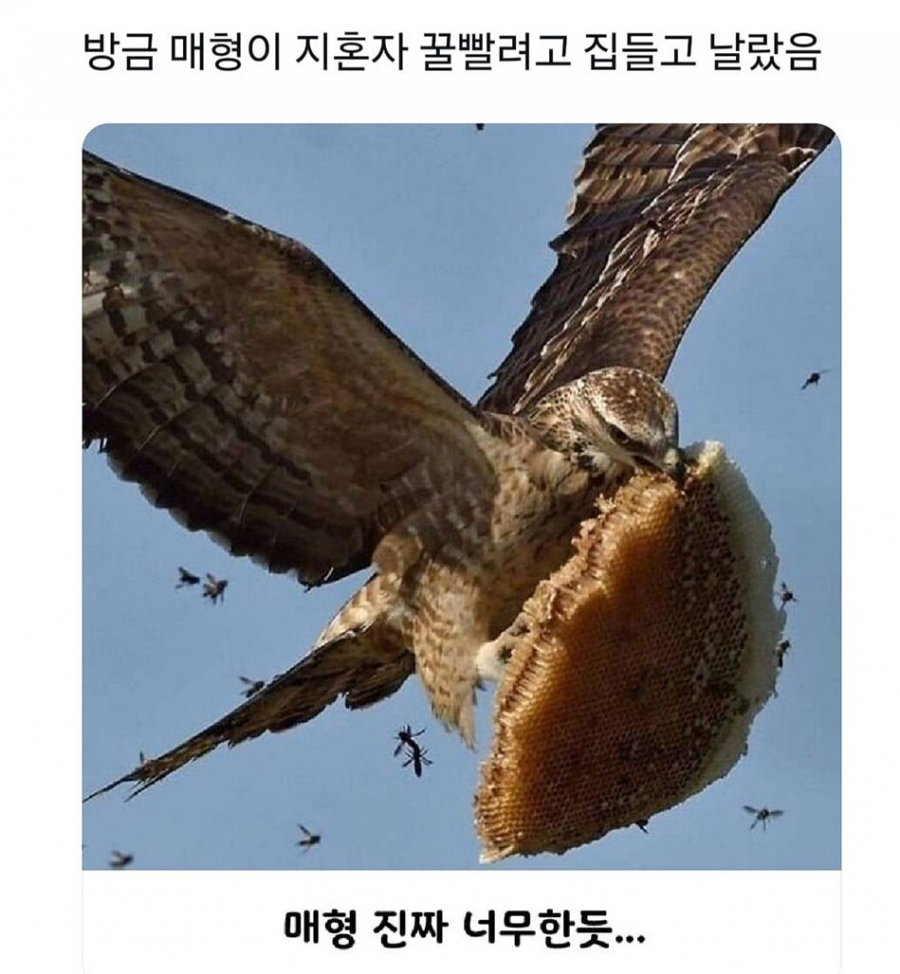 매형 진짜 너무한듯 | 인스티즈