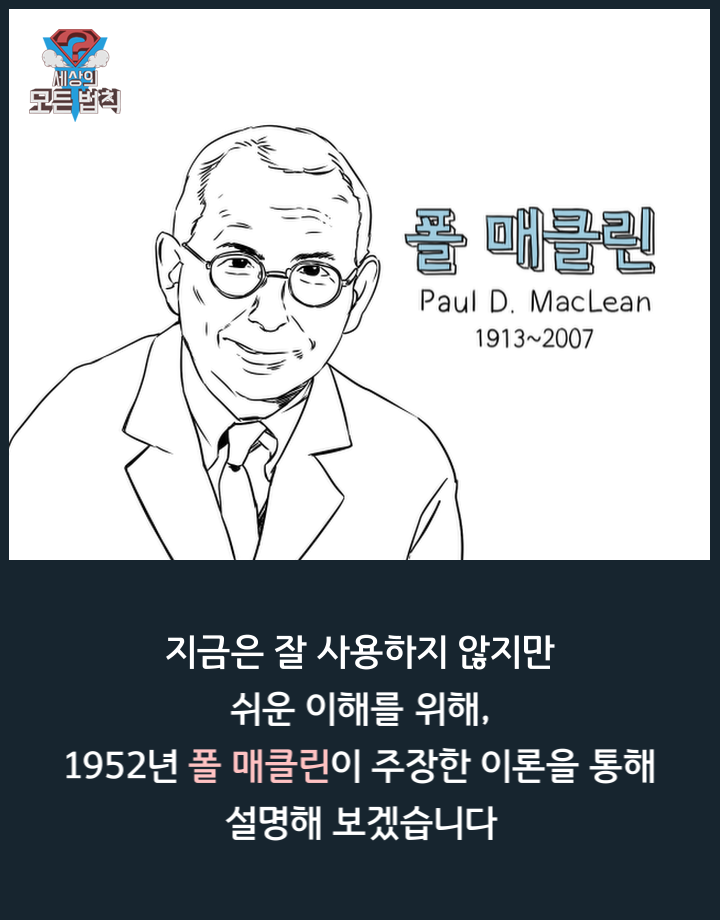 고양이는 하루종일 무슨 생각을 할까? | 인스티즈