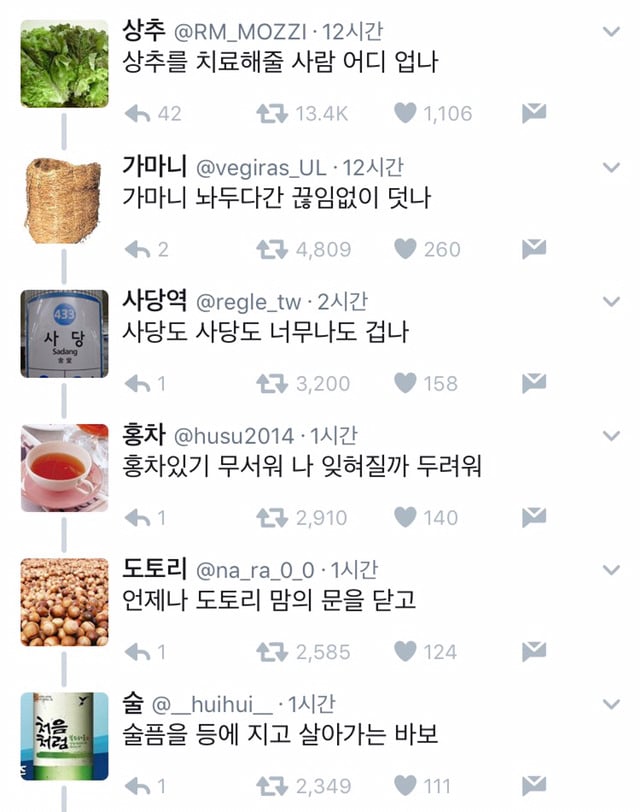상추를 치료해줄 사람 어디 없나 | 인스티즈