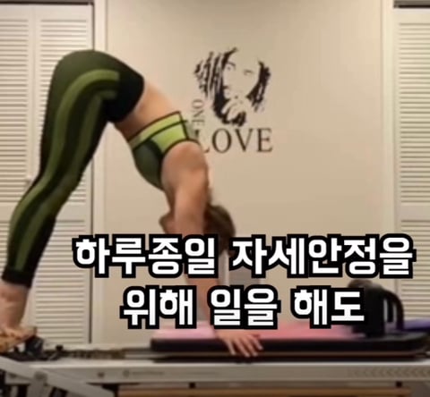 필라테스의 효과 (속근육의 기능) | 인스티즈