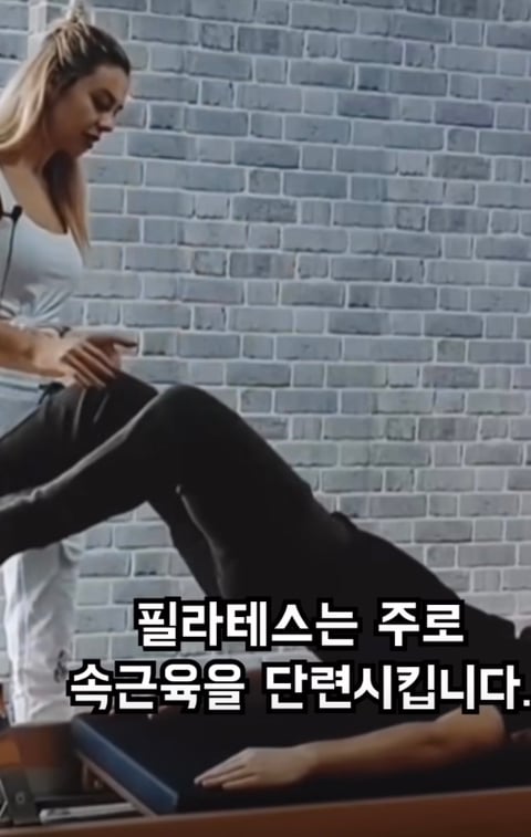 필라테스의 효과 (속근육의 기능) | 인스티즈