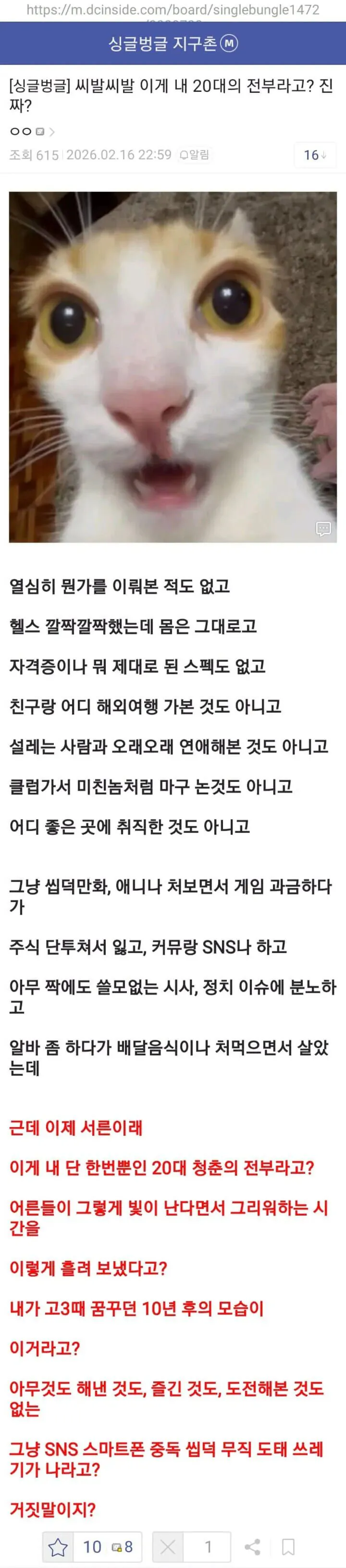 이게 내 20대의 전부라고? 진짜? | 인스티즈