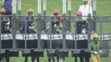 일본 경마 역사상 천재이자 최고의 마.jpg | 인스티즈