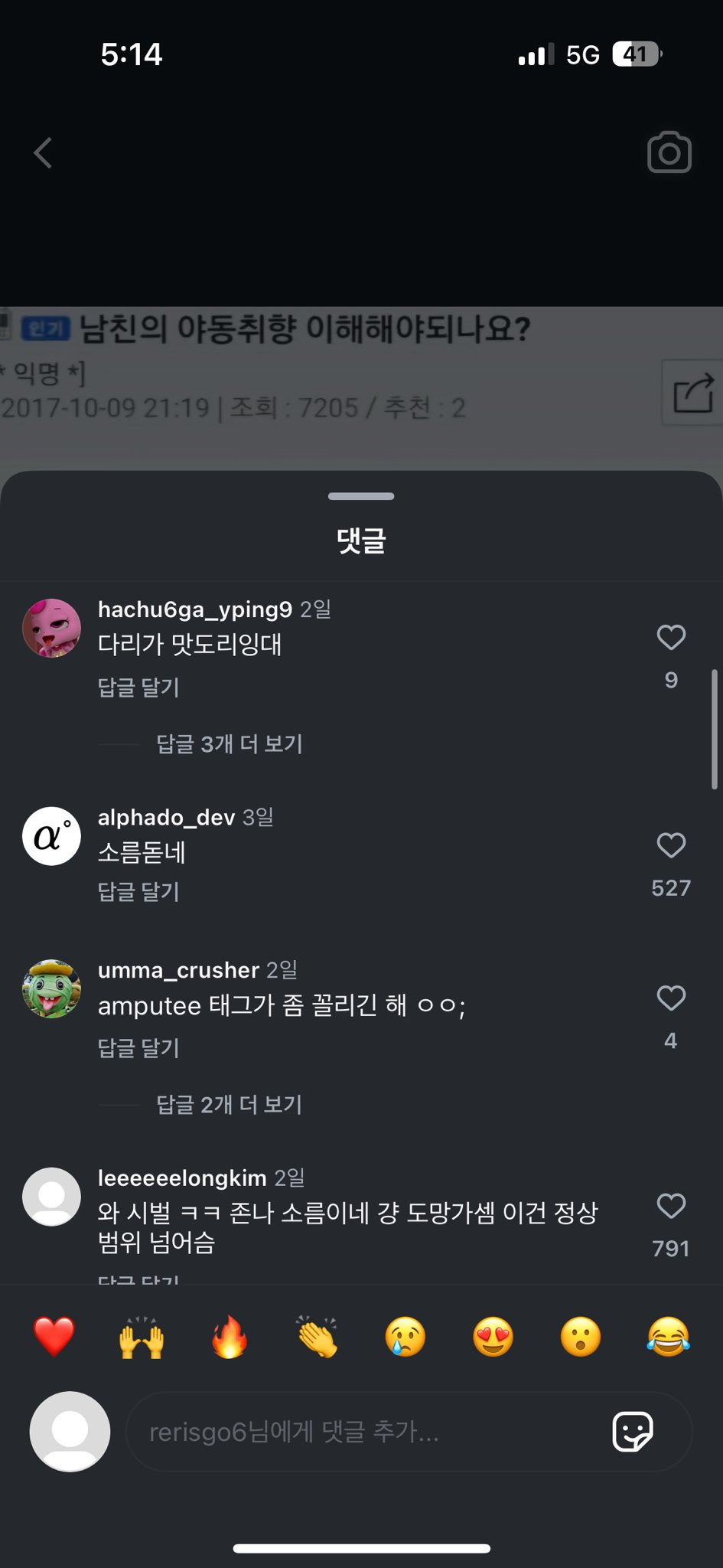 남친 야동 취향이 다리 없는 여자인 거 알고 소름돋았다는 글에 인두로 얼굴 조지고 뜯는 것도 있어서 그정돈 양호하다는 인스타 댓글ㅇㅇ | 인스티즈