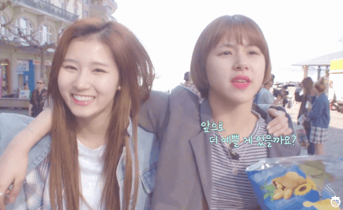 사나의 애교에 안넘어가는 채영 ㅋㅋㅋ.gif | 인스티즈