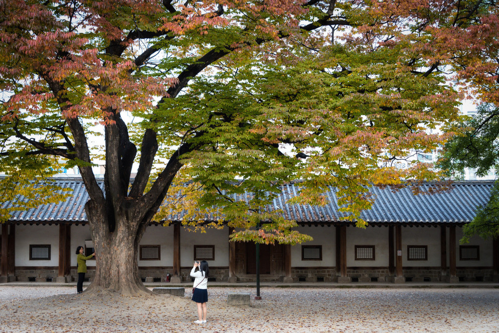 외국인이 찍은 멋진 서울 사진들 | 인스티즈
