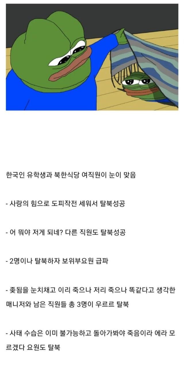 의외로 종종 있는 탈북썰 | 인스티즈