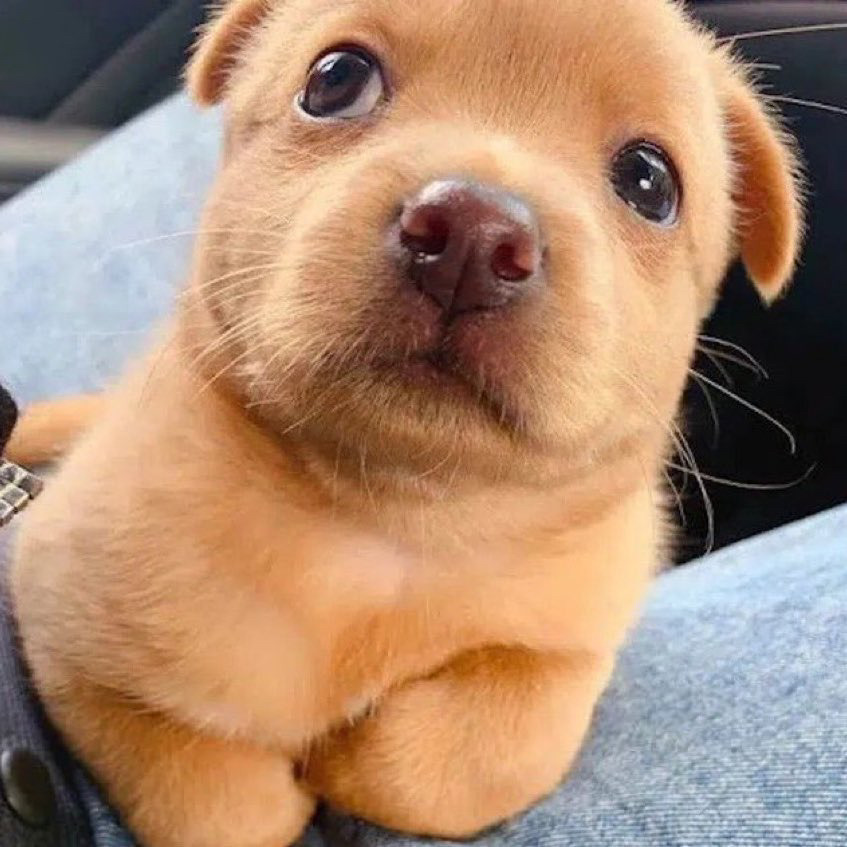 요랬는데 요래됐슴당 | 인스티즈