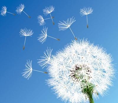 엄청 까이고 있는 카톡 프로필사진 | 인스티즈