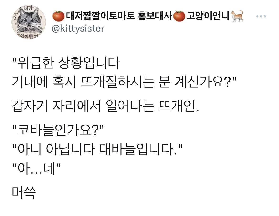 '기내에 혹시' 밈 모음.twt | 인스티즈