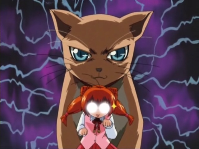 [애니] 고양이 관련 캐릭터 모음.jpg | 인스티즈