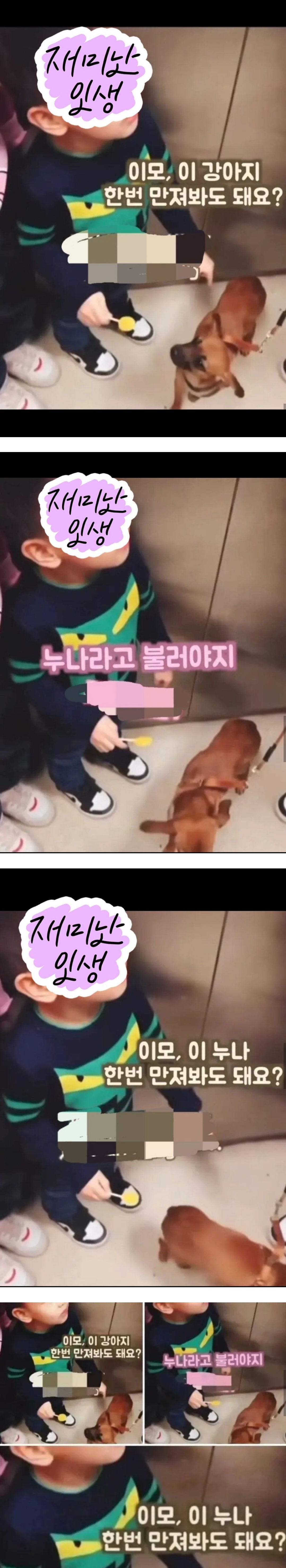 이모, 이 강아지 한번 만져봐도 돼요? | 인스티즈