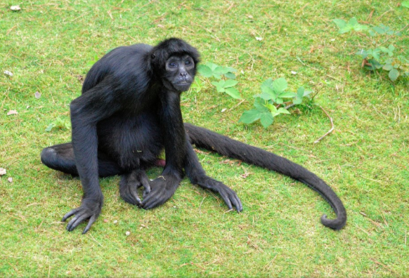 우리가 아는 공룡의 모습은 진짜일까? .jpg | 인스티즈