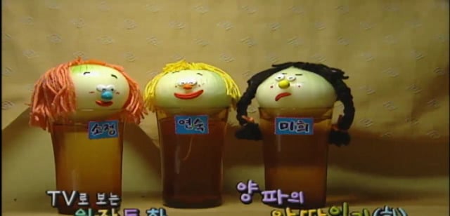 추억의 [TV로보는원작동화] 양파의 왕따일기 08 | 인스티즈