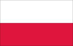 실제로 정신과 가서 심리검사, 지능검사 할 때 물어보는 상식질문.txt | 인스티즈