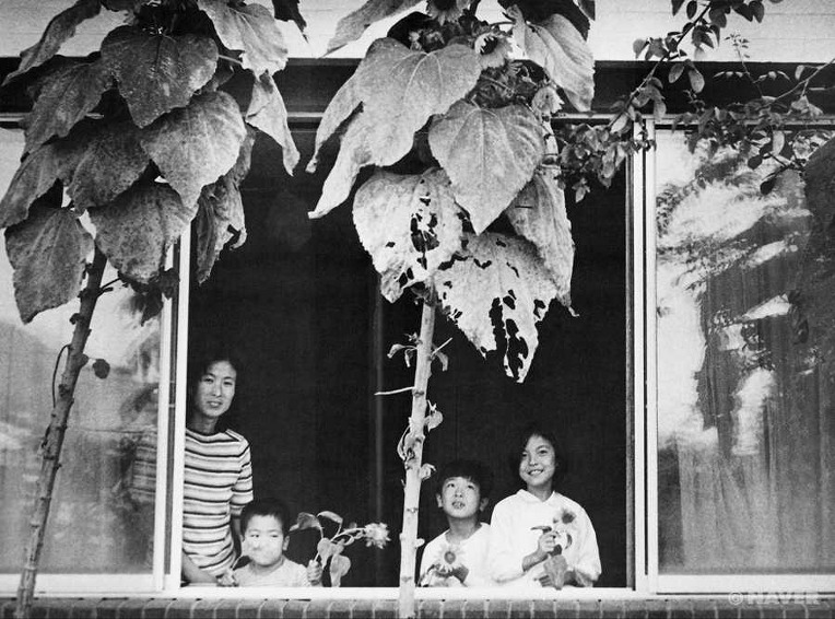 윤미가 태어나서 시집가기까지 jpg | 인스티즈