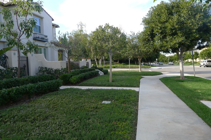 미국 캘리포니아 어바인 동네에사는 한국 연예인들 | 인스티즈