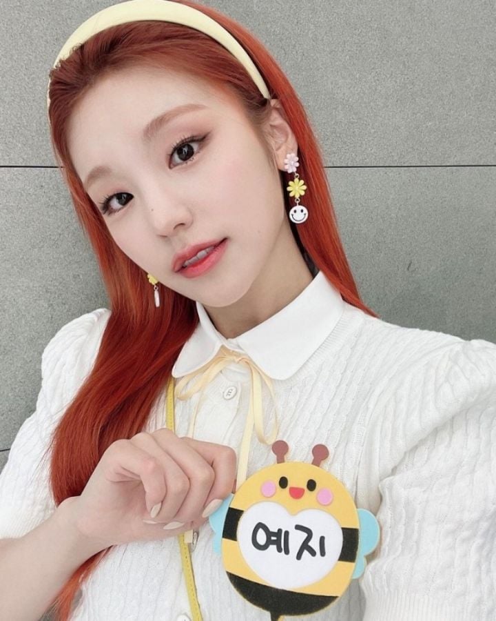 다양한 동물상 여자아이돌들! | 인스티즈