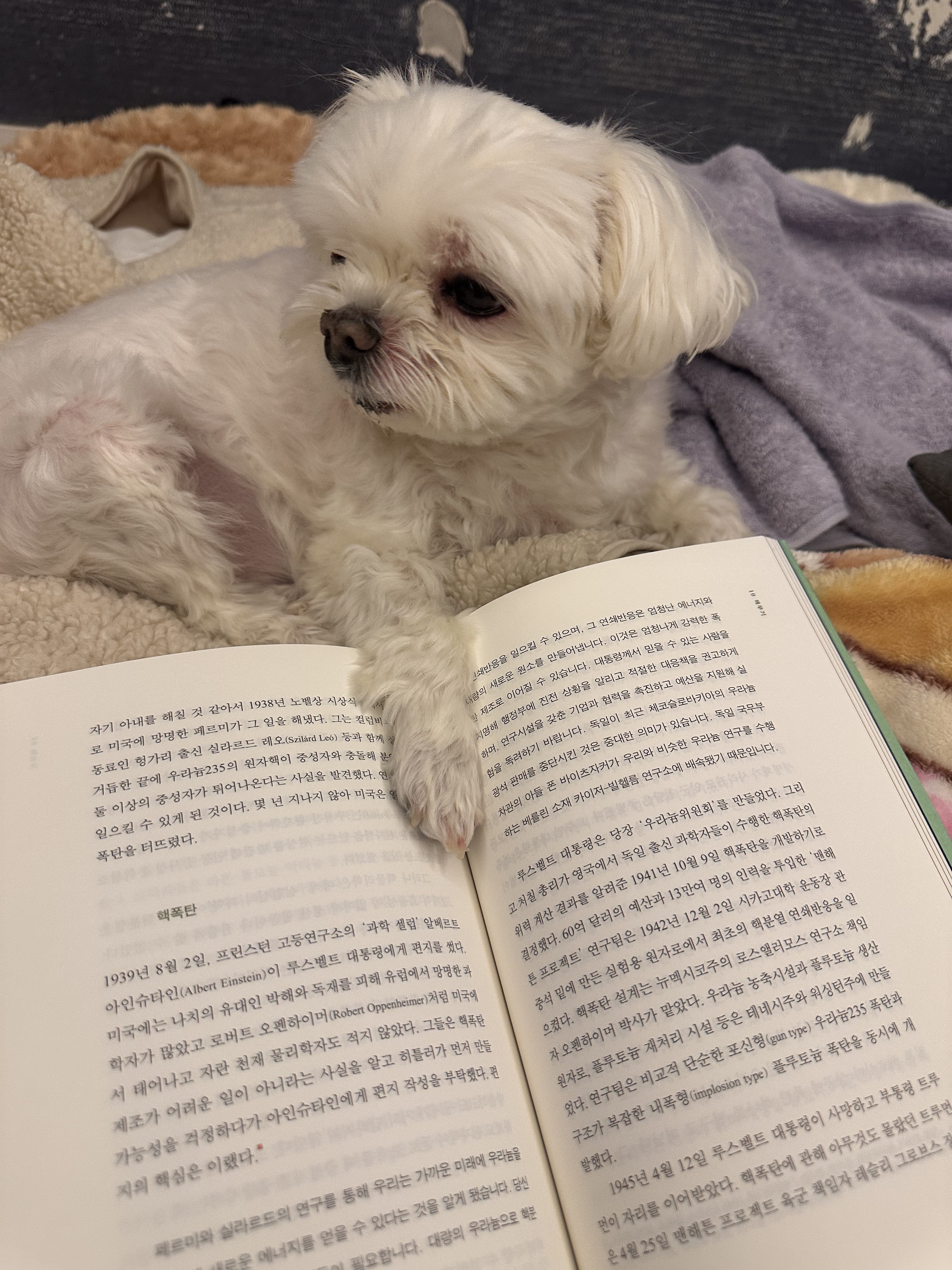 내 책갈피? 독서대? 구엽지 | 인스티즈