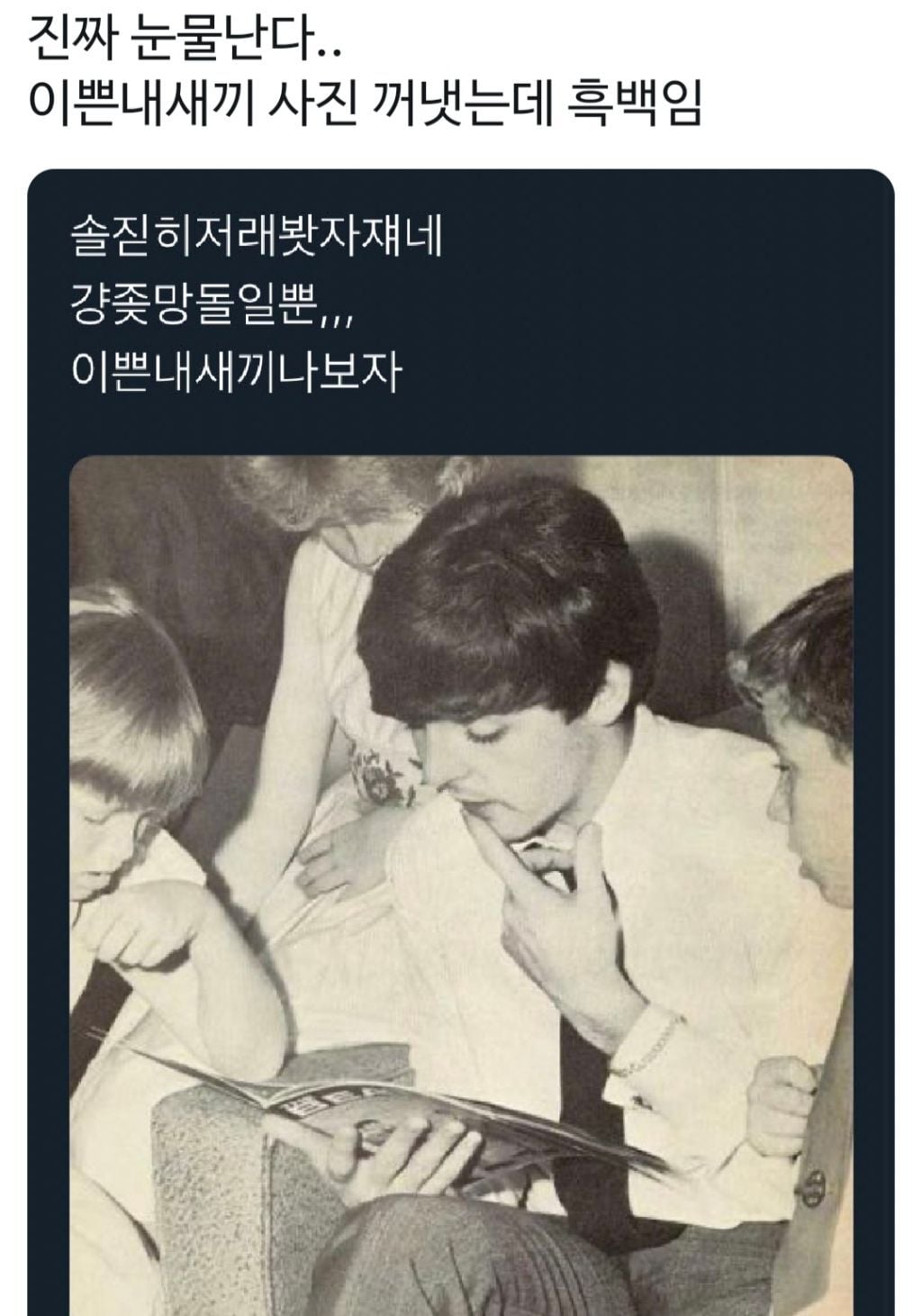 비틀즈팬과 데이식스팬 싸우는거 너무 웃긴 달글 캡쳐 | 인스티즈