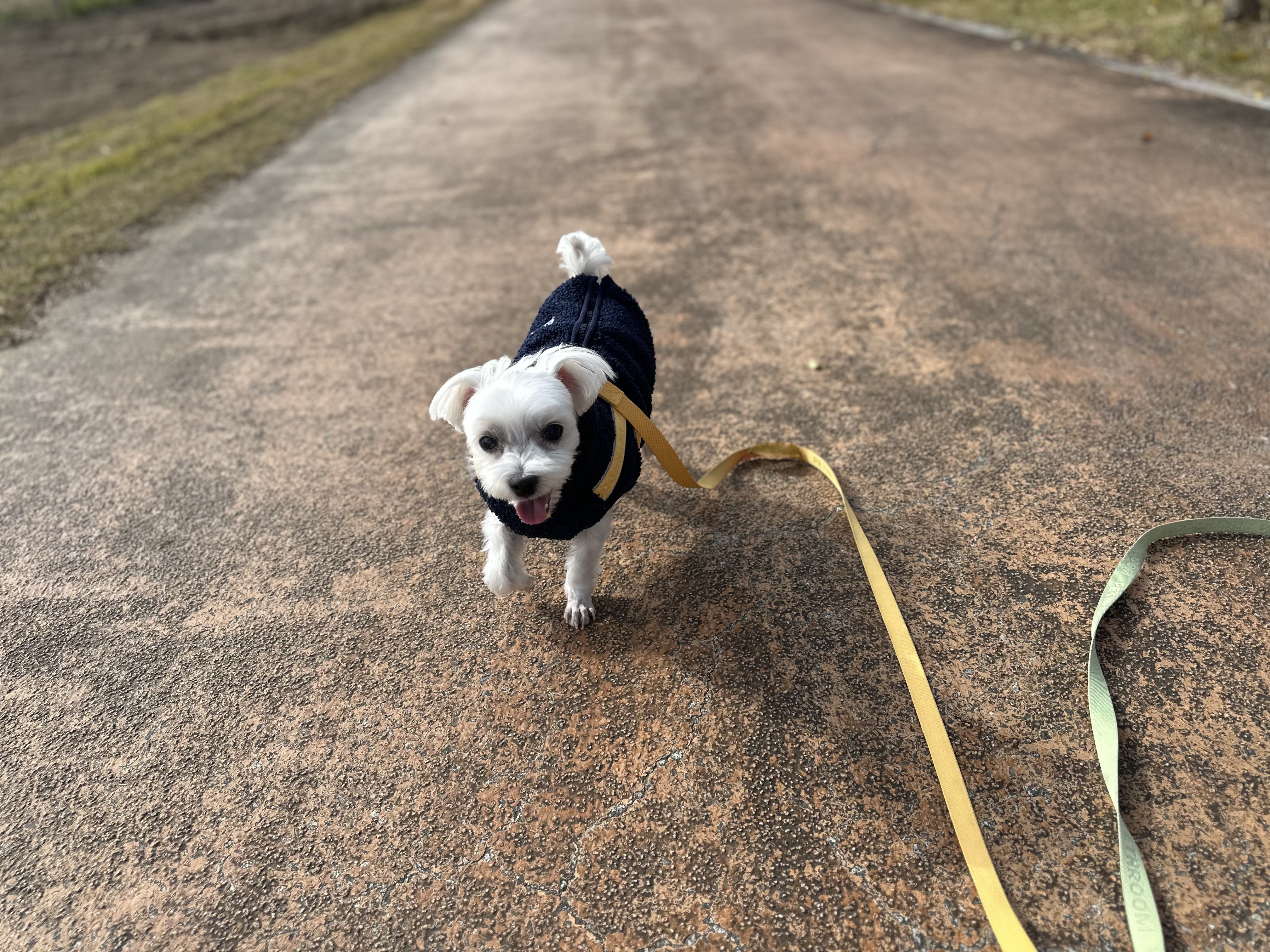 내 책갈피? 독서대? 구엽지 | 인스티즈