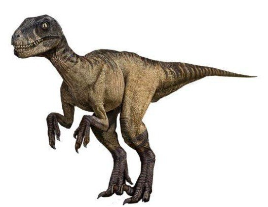 우리가 아는 공룡의 모습은 진짜일까? .jpg | 인스티즈