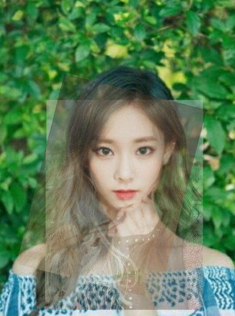 여자연예인 얼굴 합성(태연,윤아,아이린,수지,쯔위,설리,지수,정채연) | 인스티즈