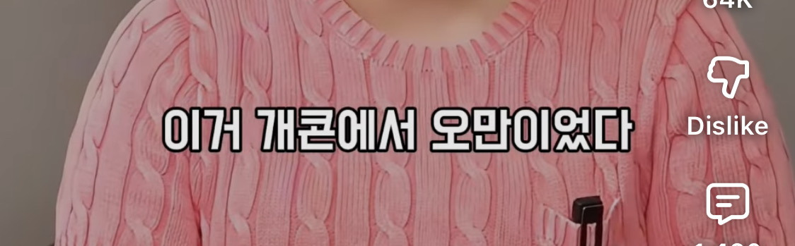 이수지가 수입 0원일때, 잊지 못하는 연예인 | 인스티즈