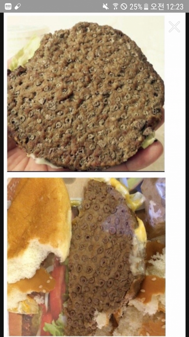 처음보면 많이 충격적인 버거킹 와퍼 패티.jpg (혐오주의) | 인스티즈