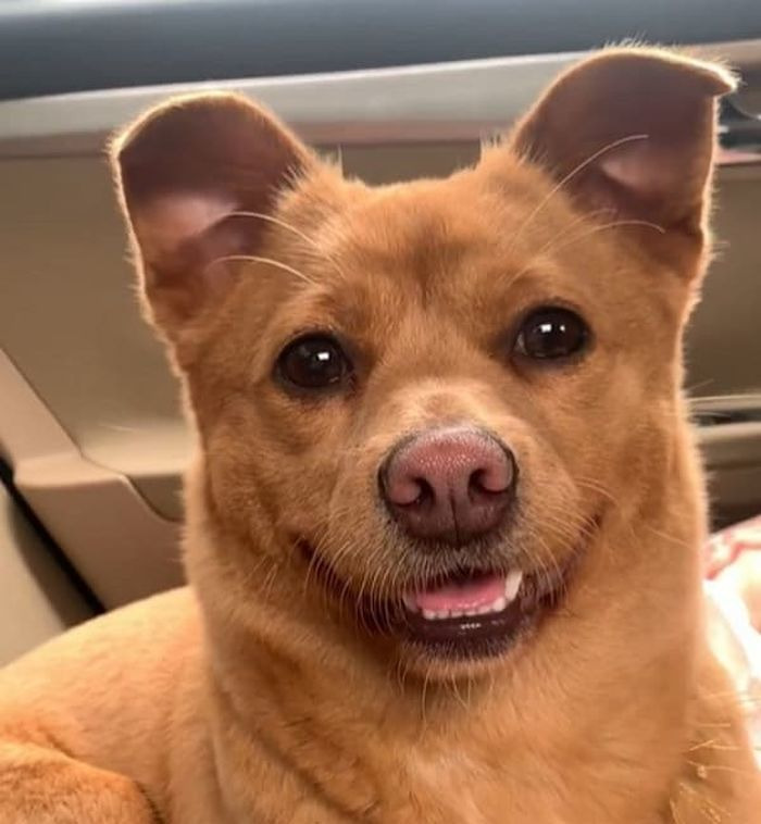 요랬는데 요래됐슴당 | 인스티즈