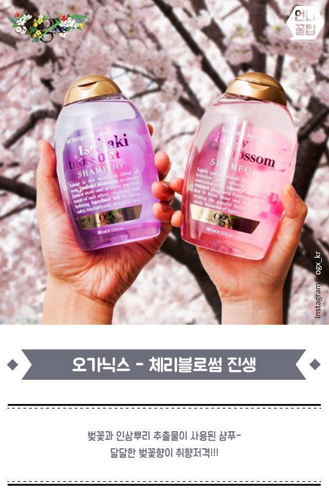 향수 뺨치는 향기 좋은 샴푸 베스트 | 인스티즈