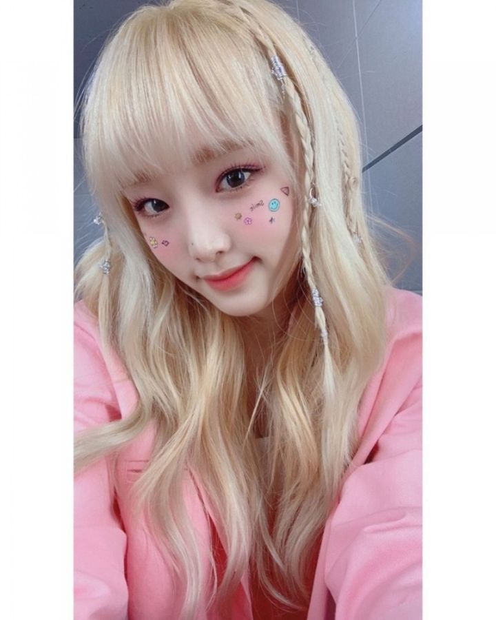 다양한 동물상 여자아이돌들! | 인스티즈