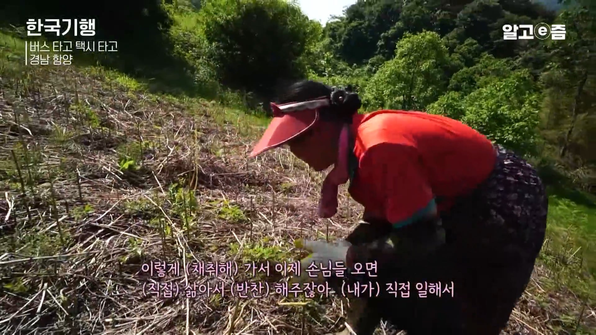 외국에서 예약하고 찾아온다는 경남 함양 할머니 민박집.jpg | 인스티즈