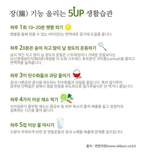 스스로를 파괴하는 무서운 질병, 자가면역질환 예방하는 방법 | 인스티즈
