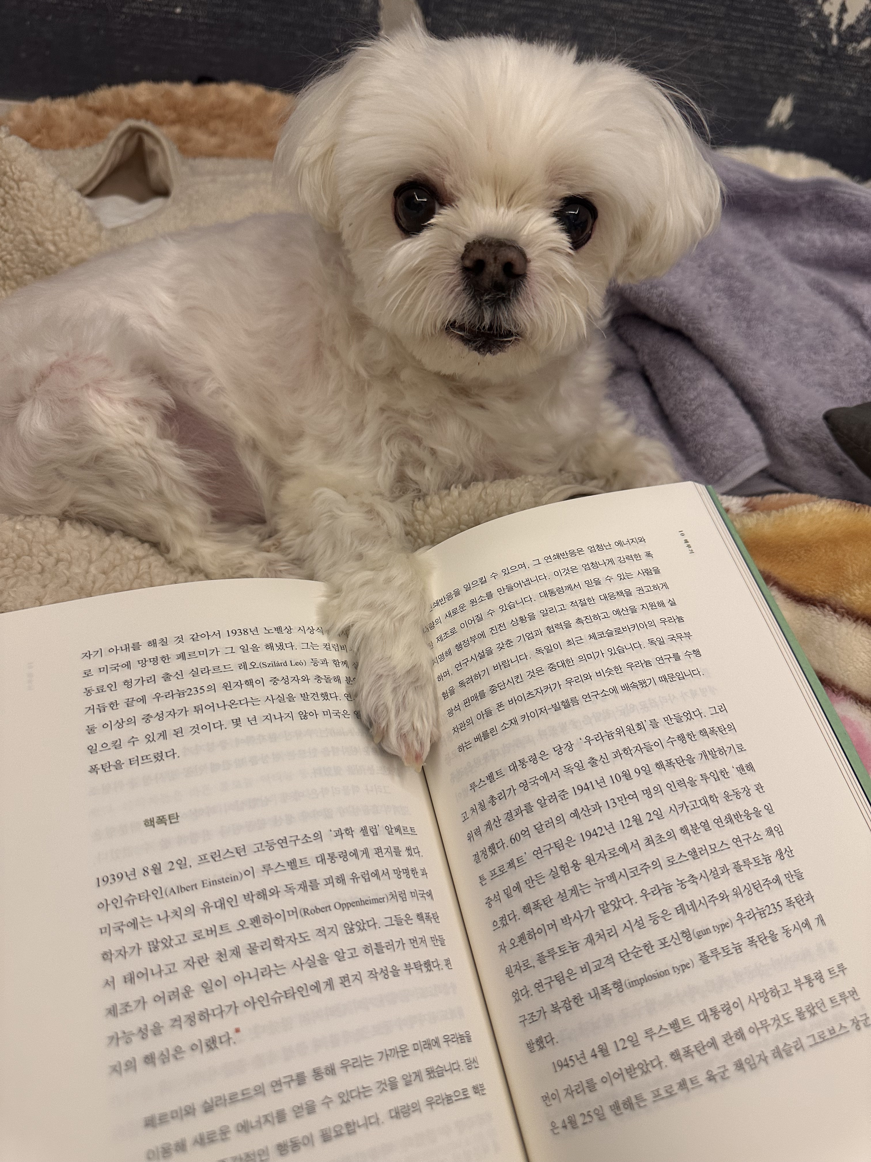 내 책갈피? 독서대? 구엽지 | 인스티즈