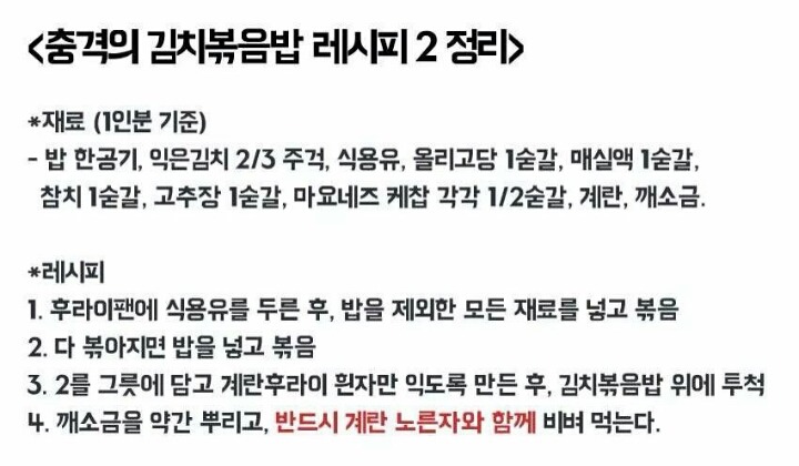 한때 인터넷을 휩쓸었던 충격의 김치볶음밥 | 인스티즈