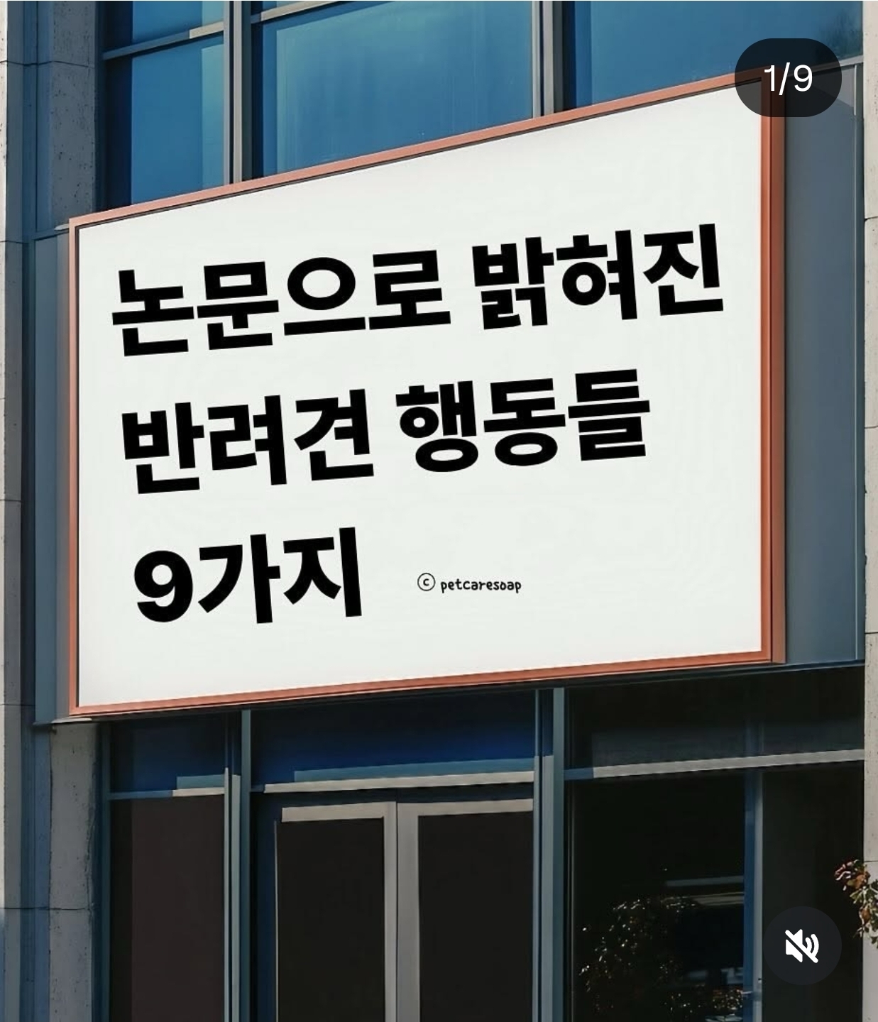 논문으로 밝혀진 반려견 행동들 9가지 | 인스티즈