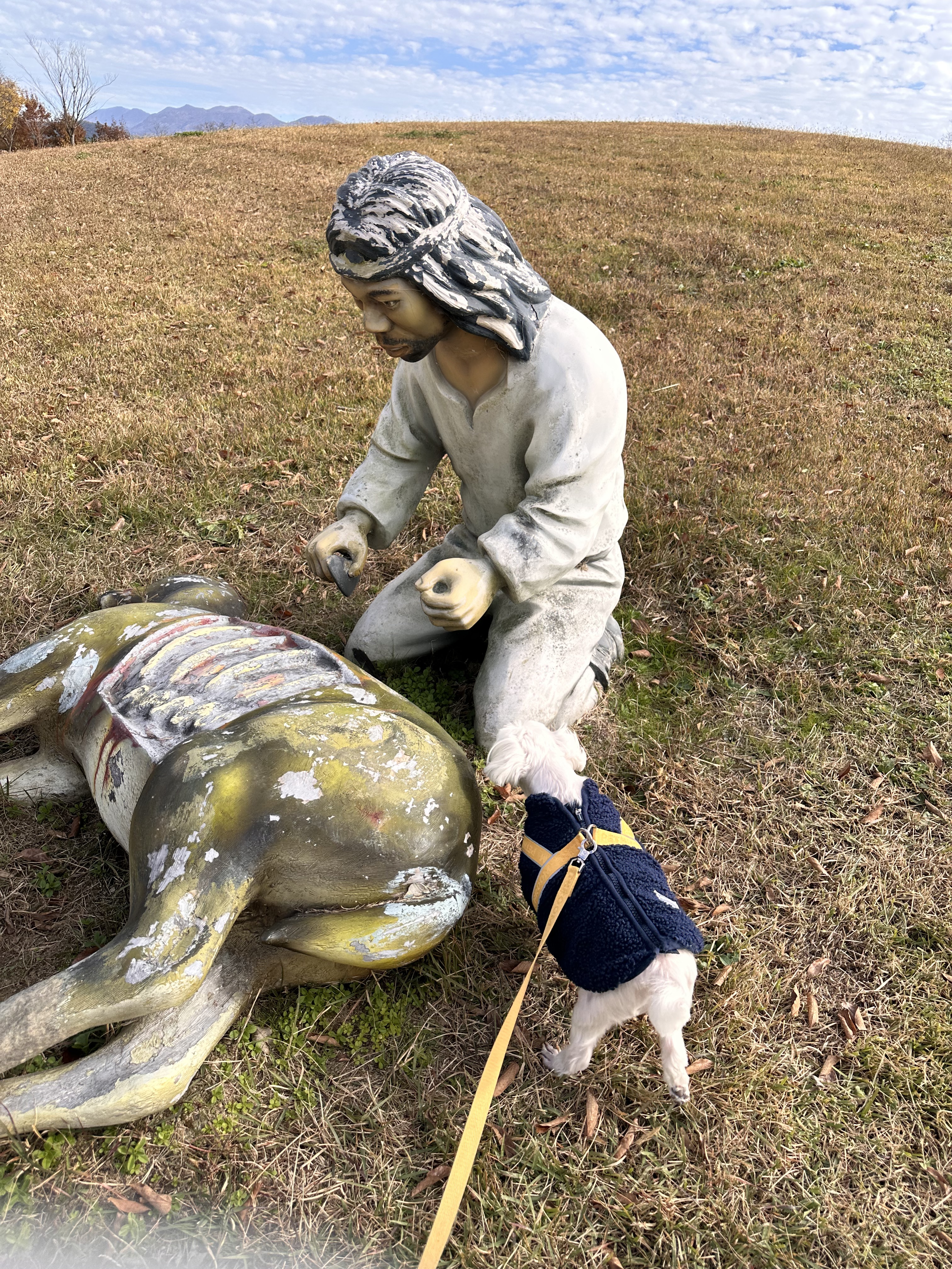 내 책갈피? 독서대? 구엽지 | 인스티즈