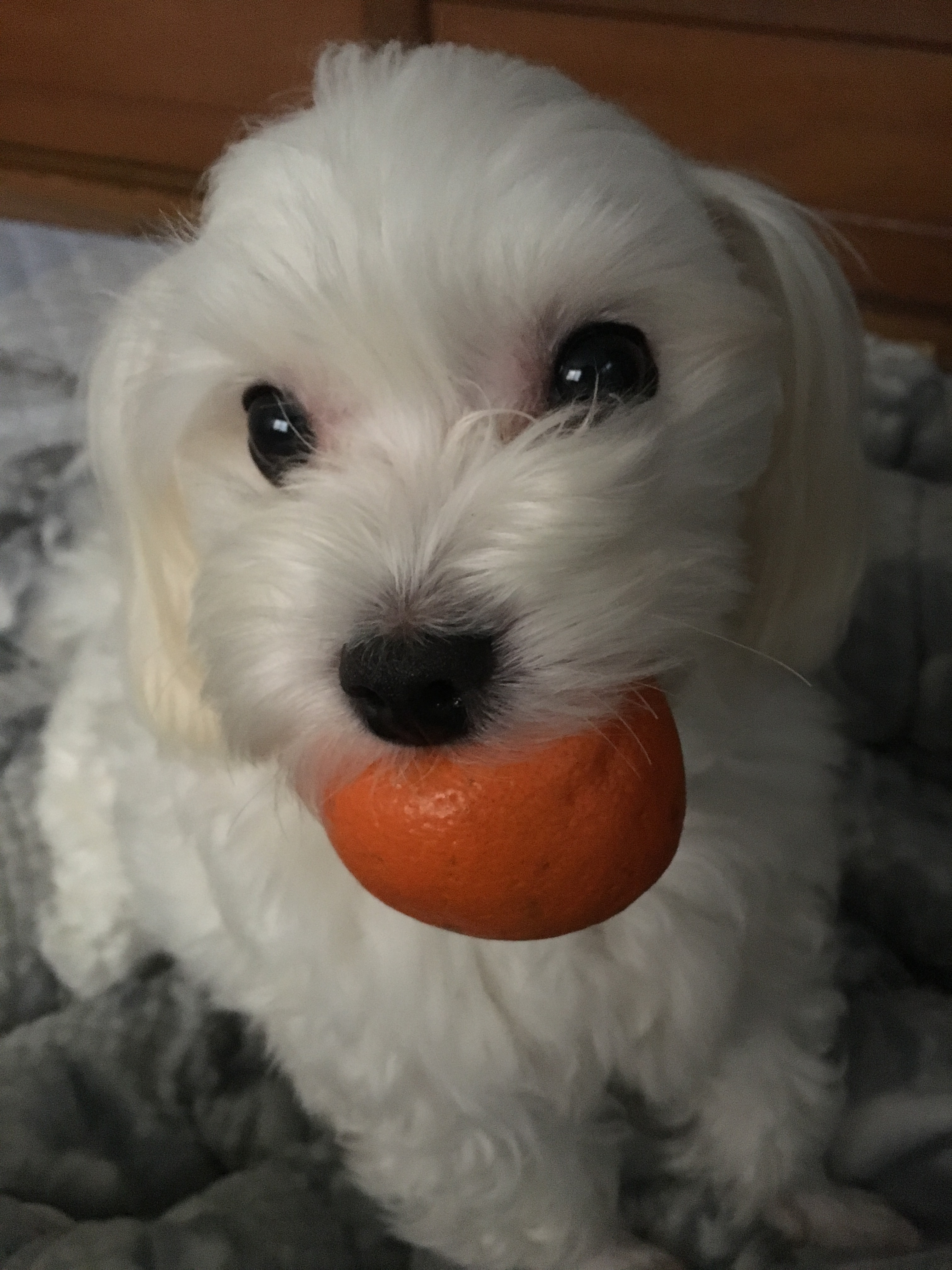 내 책갈피? 독서대? 구엽지 | 인스티즈