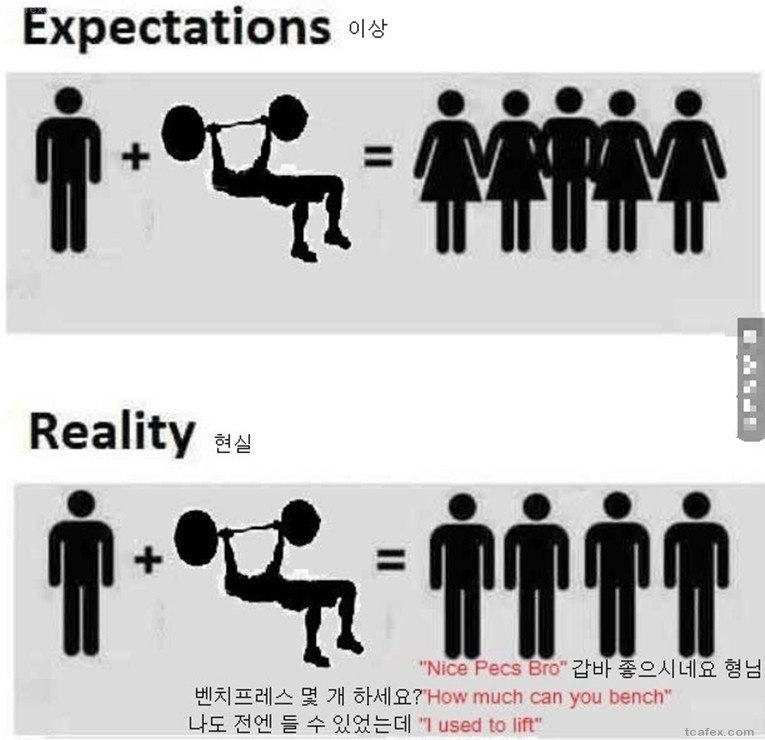운동하는 남자의 이상과 현실.jpg | 인스티즈