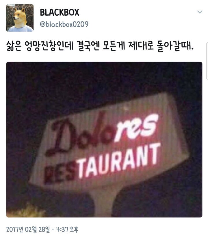 살면서 나를 배신하지 않는 것들.jpg | 인스티즈