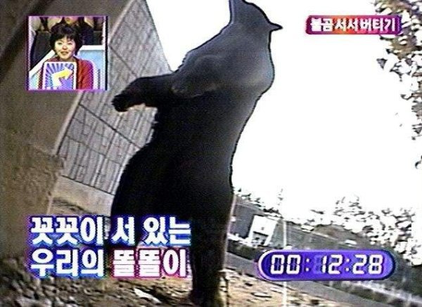 꼿꼿이 서있는 우리의 똘똘이.jpg | 인스티즈