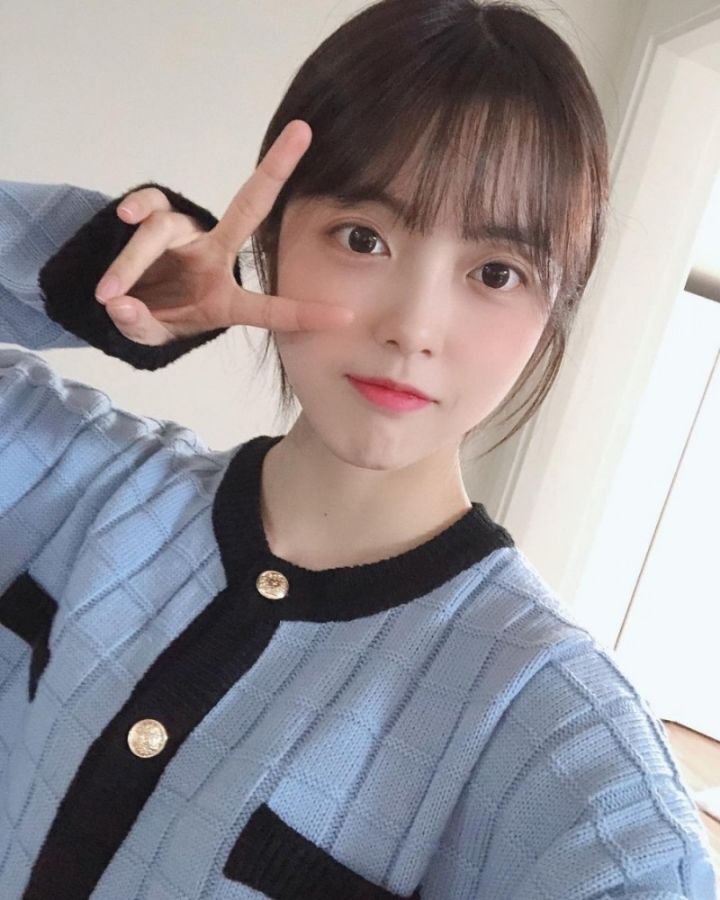 다양한 동물상 여자아이돌들! | 인스티즈