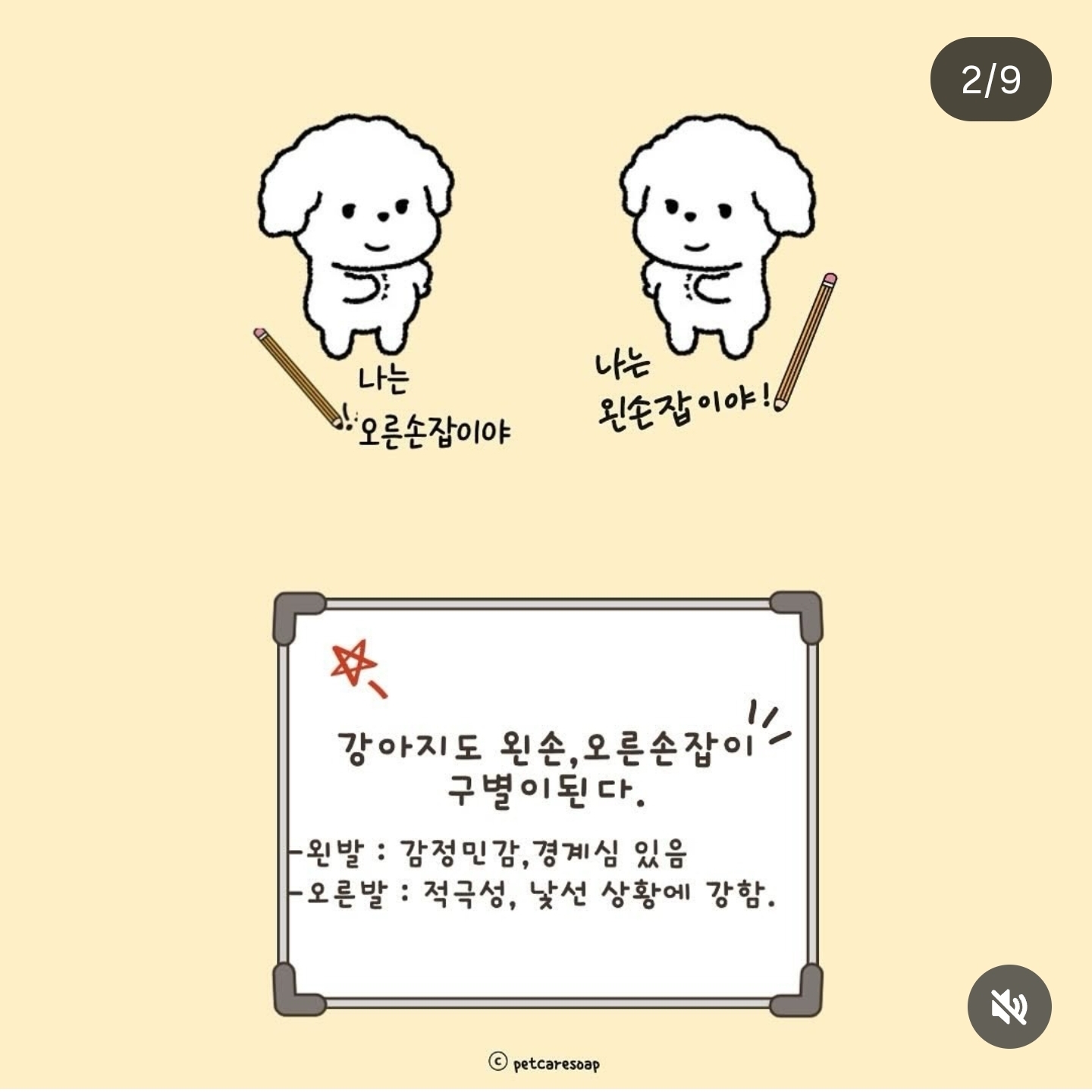 논문으로 밝혀진 반려견 행동들 9가지 | 인스티즈